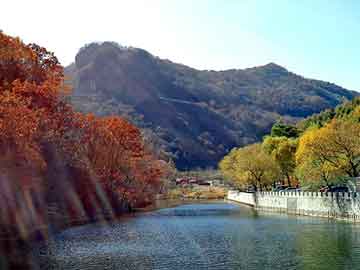 新澳天天开奖资料大全旅游团，平氏粘度计